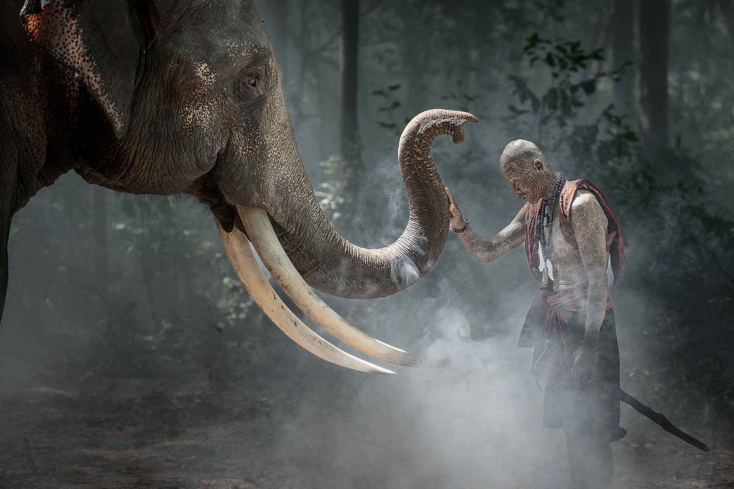 World Photo Annual