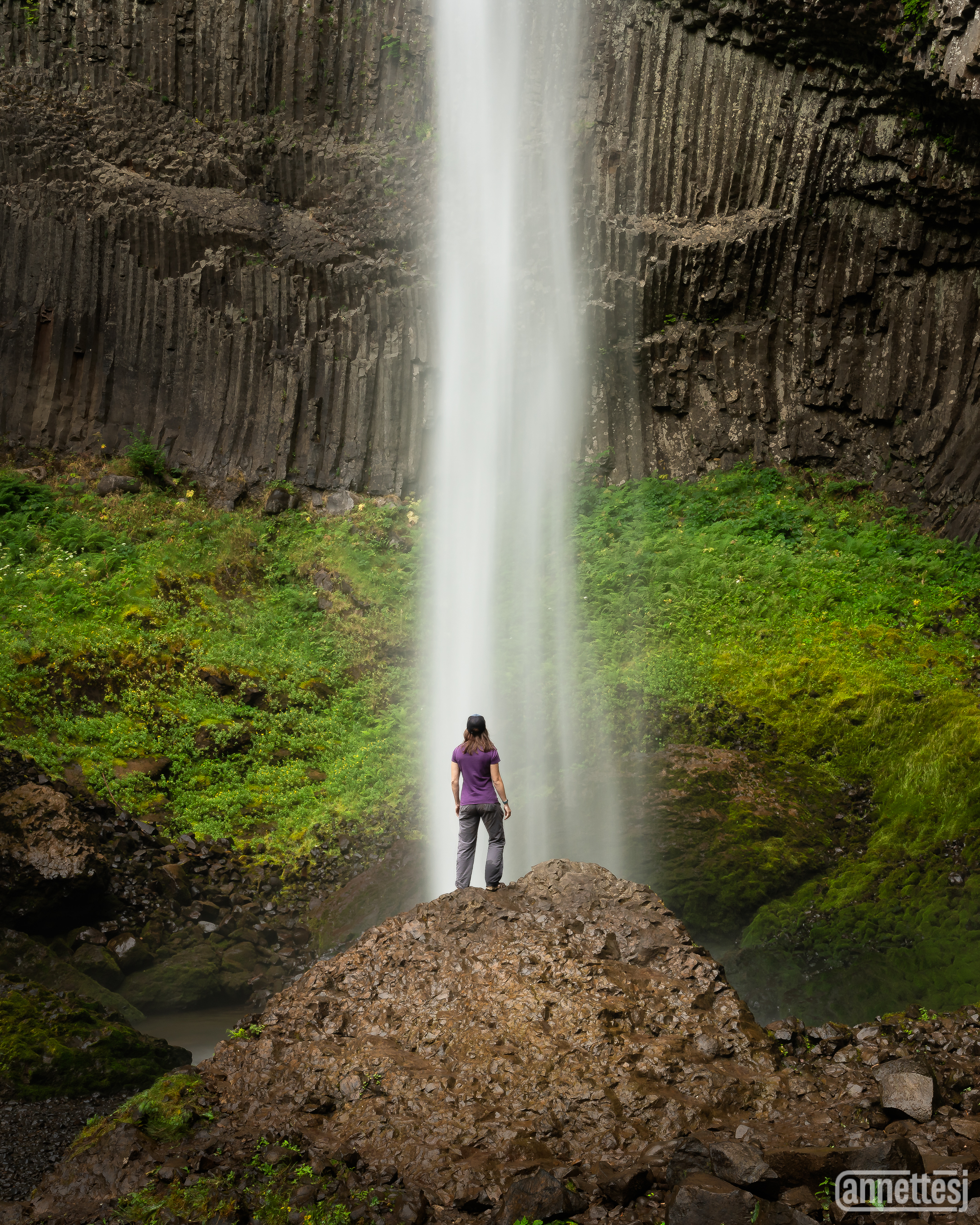 Annette Stiers Jones