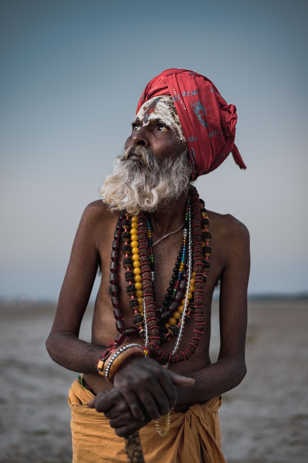Wise Sadhu