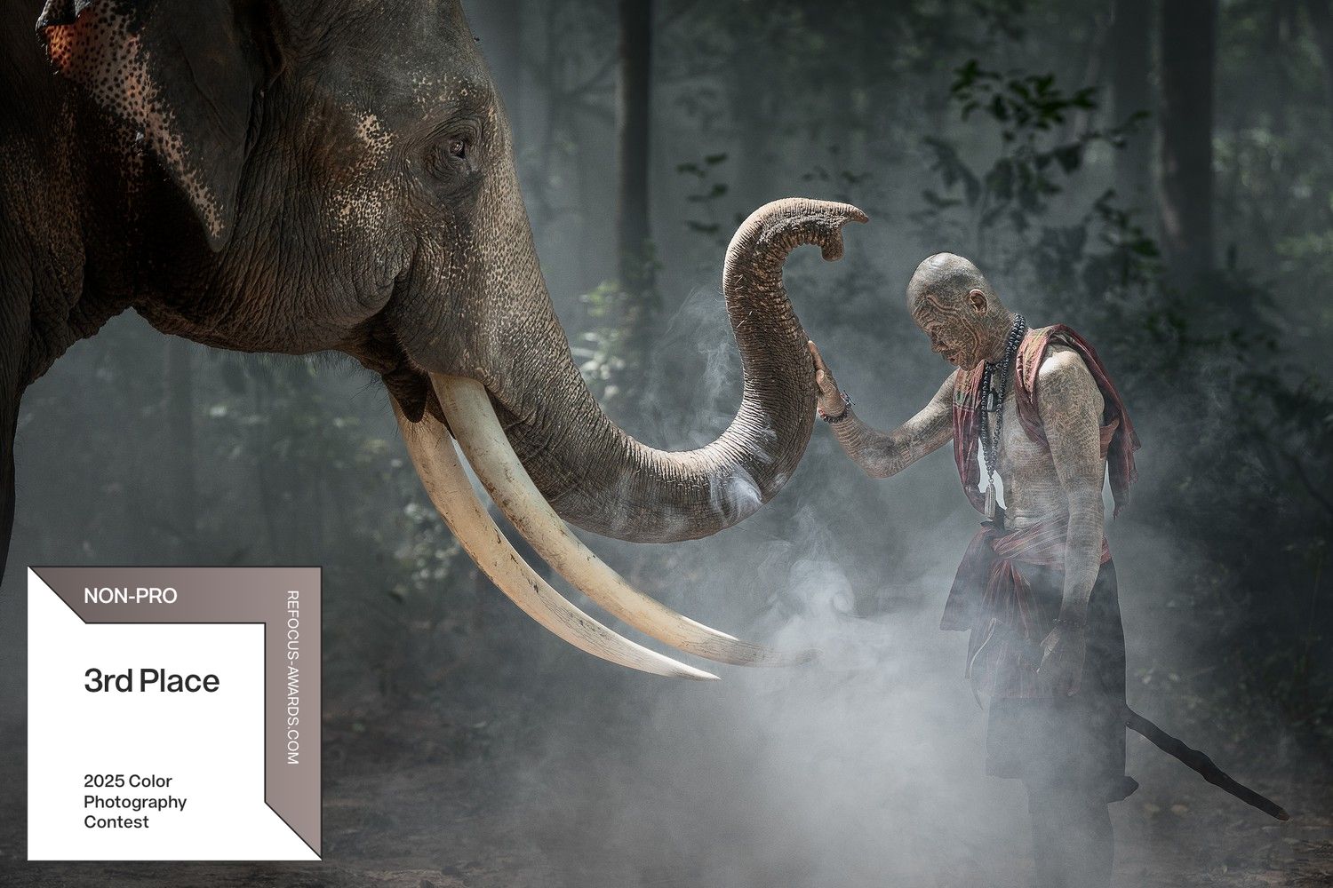 Sarah Wouters | 2025 Color Photo Contest | 3rd Place Winner | Non-Professional