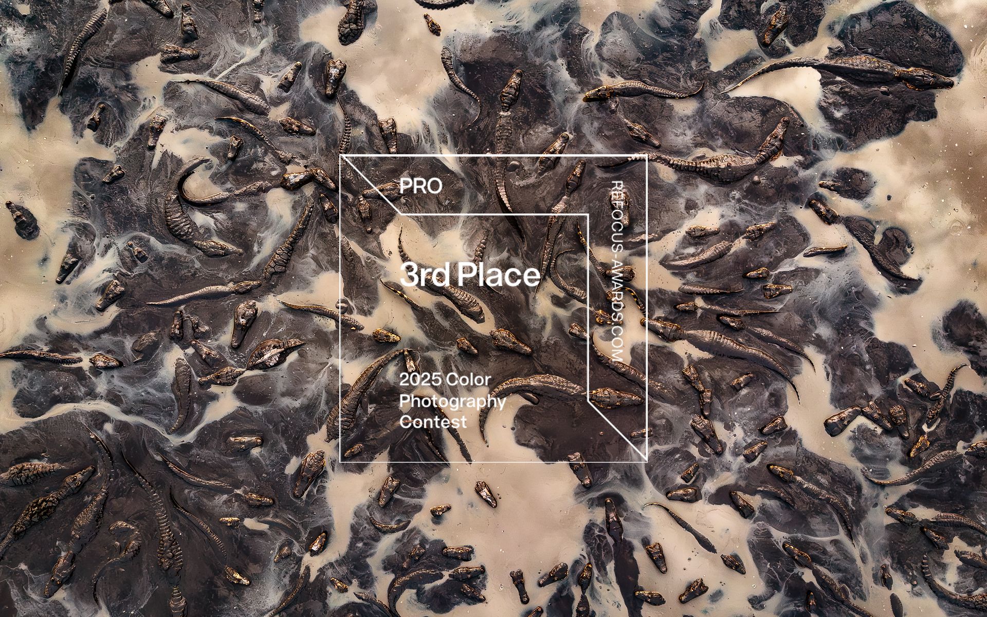 Octavio Campos Salles | 2025 Color Photo Contest | 3rd Place Winner | Professional