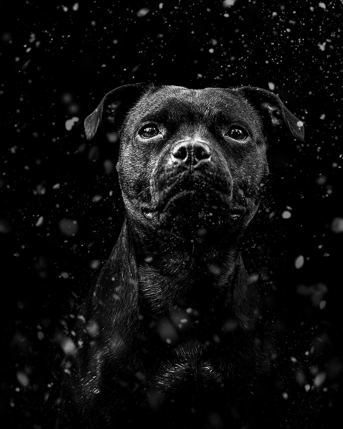 The Fragility of the Moment