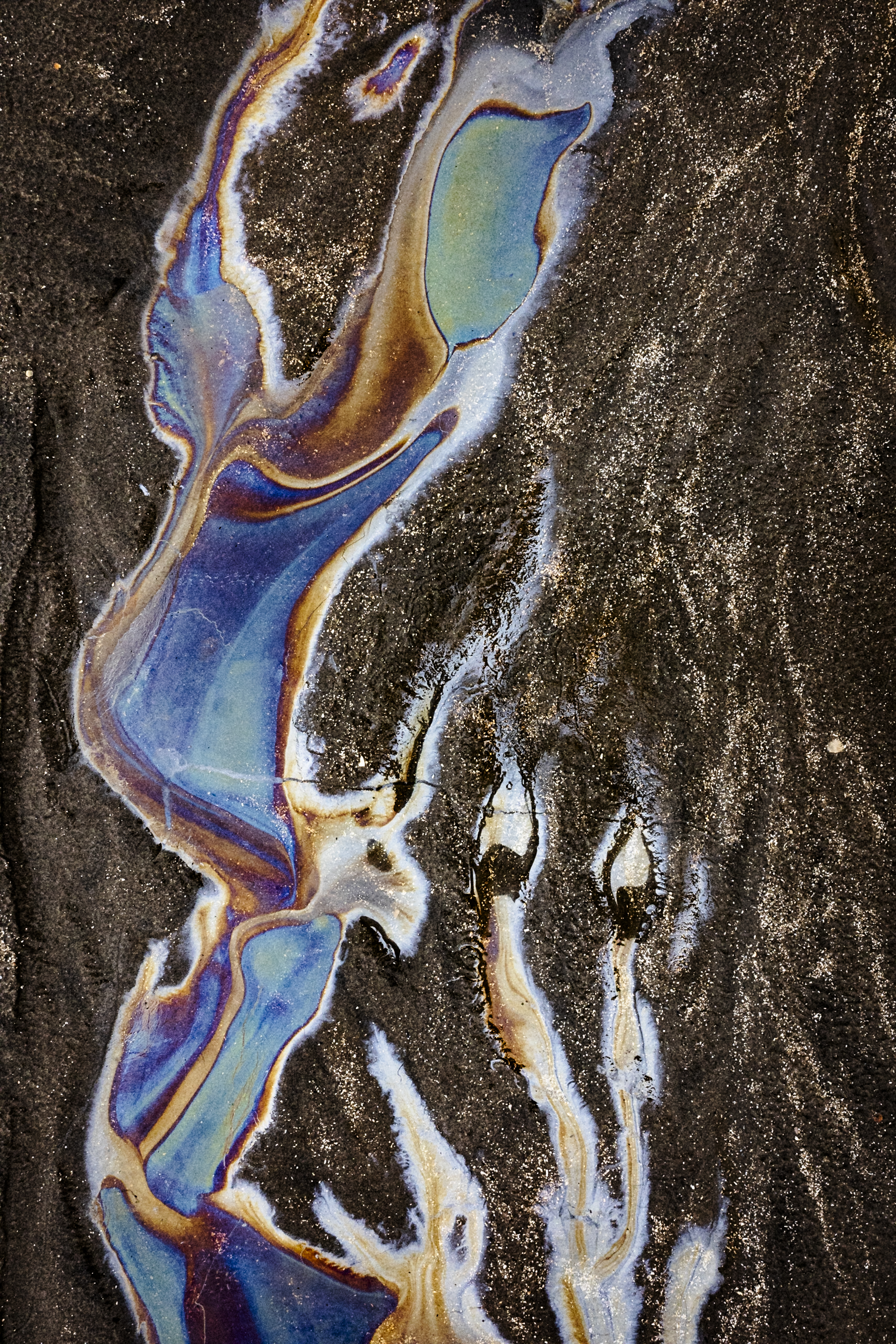 Surprise at the beach