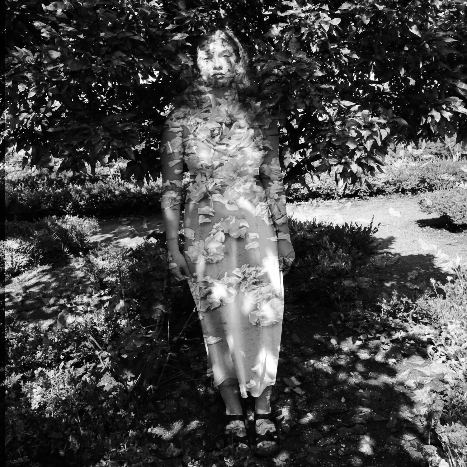 Donna Gordon
