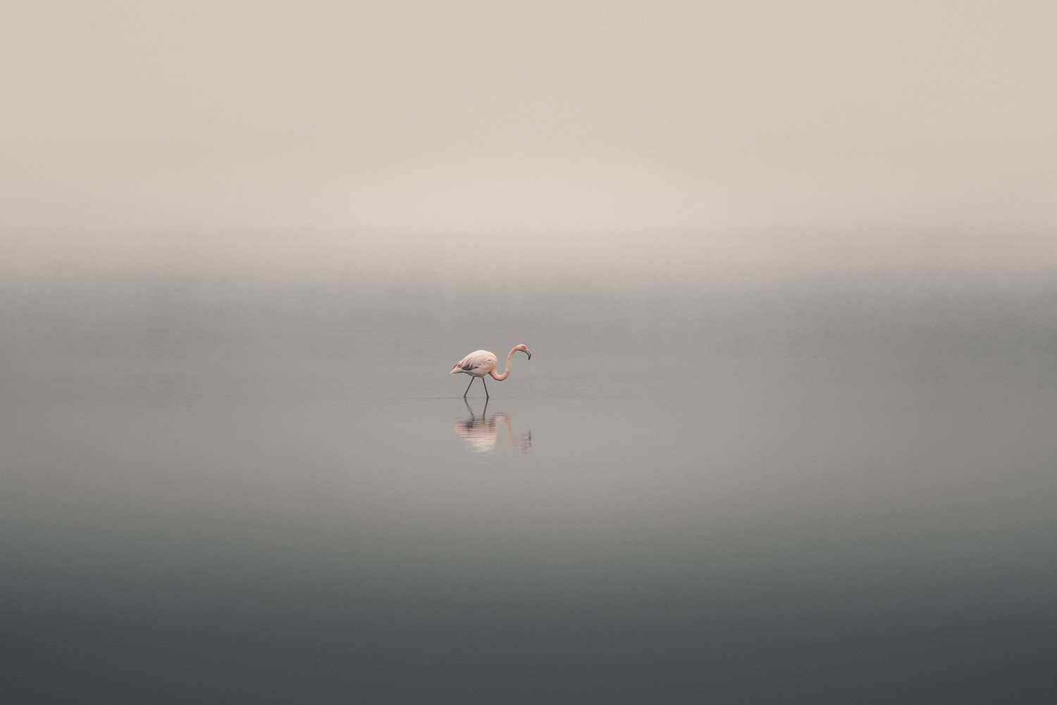 Back to Your Own World