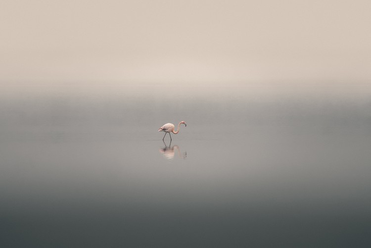 Back to Your Own World