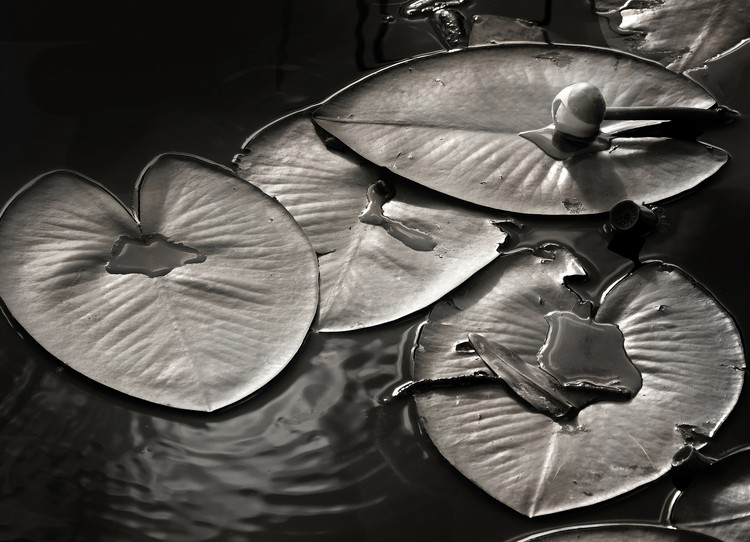 What Darkness Reveals