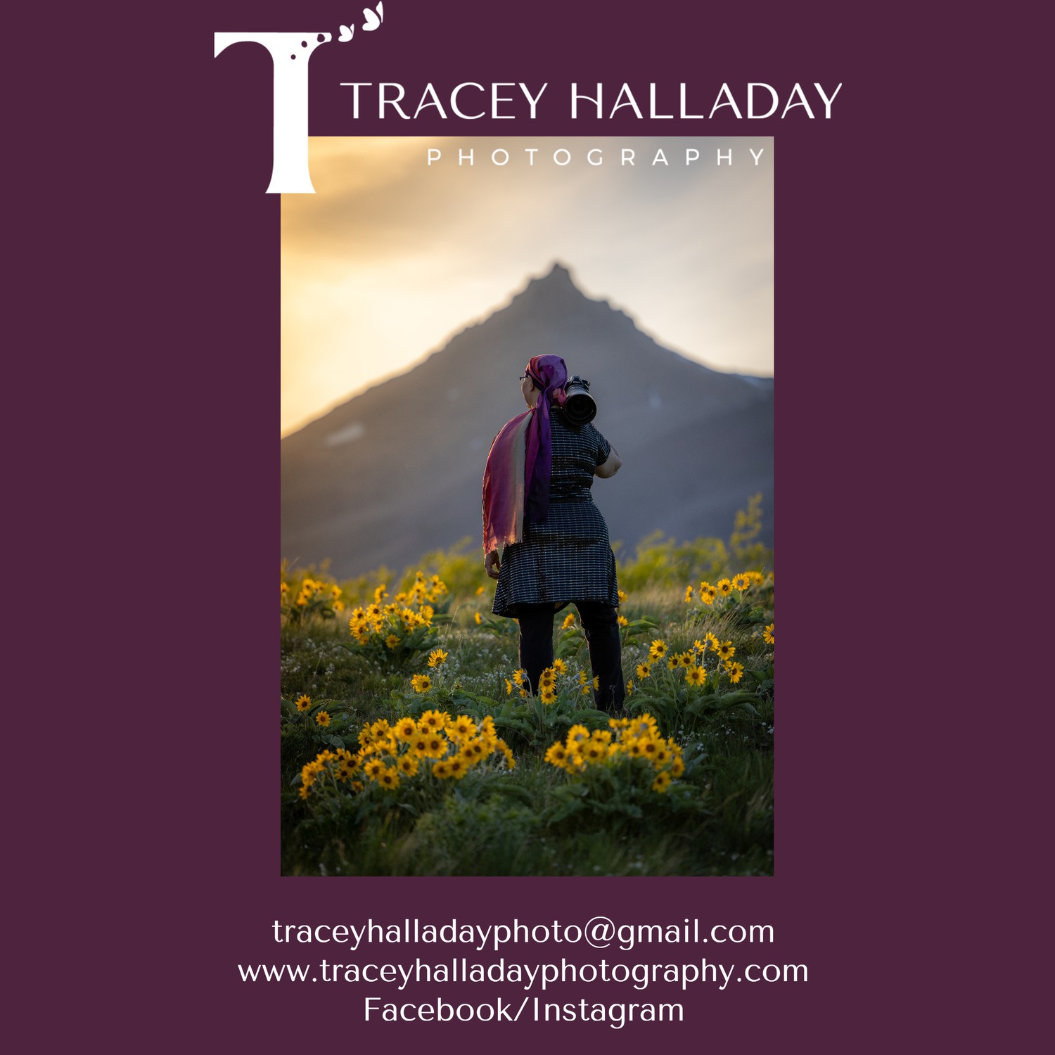 Tracey Halladay