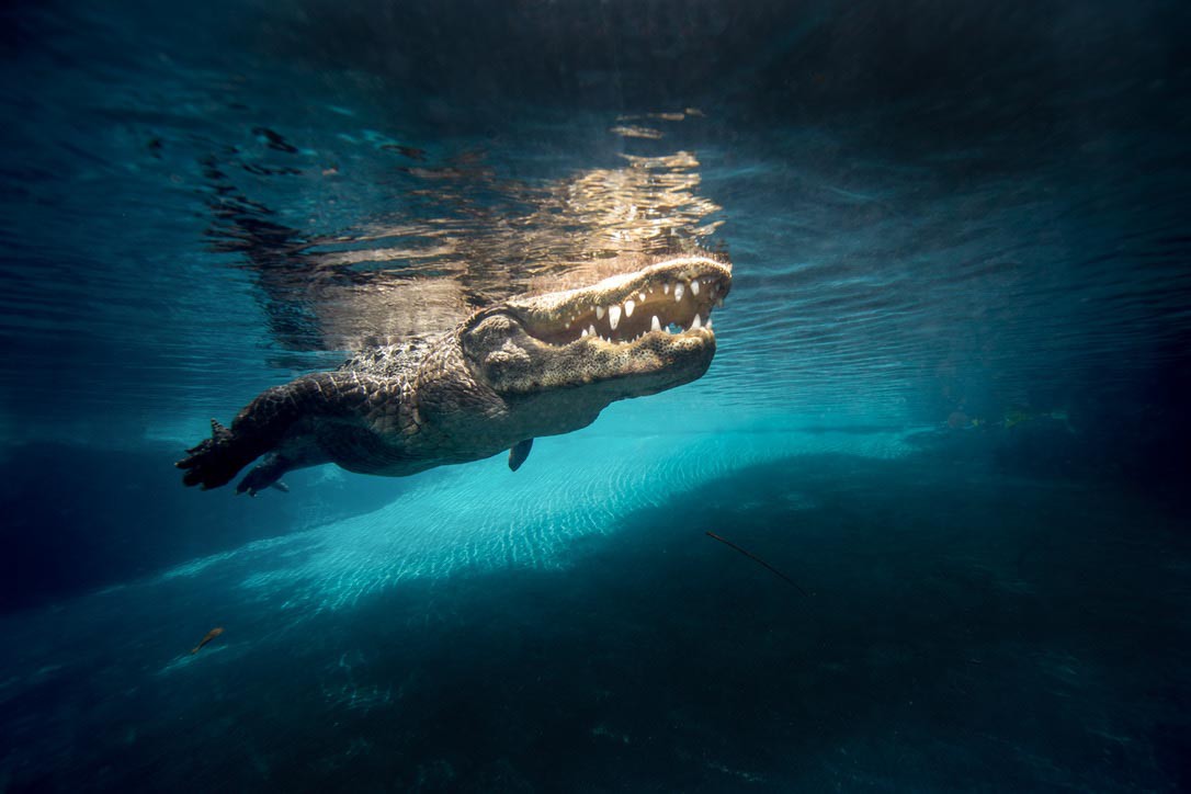 Russell Satterthwaite