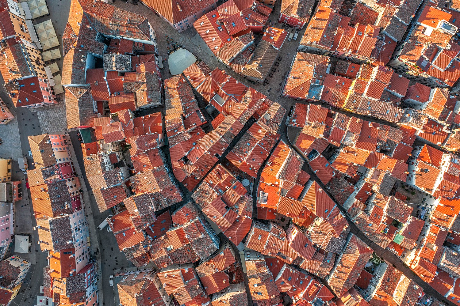 Old town roofs