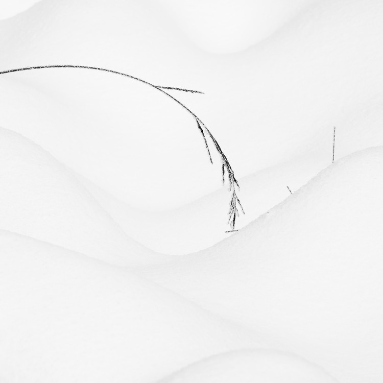 Sometimes it snows in April