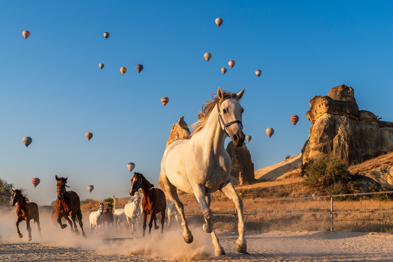 Cappadocia