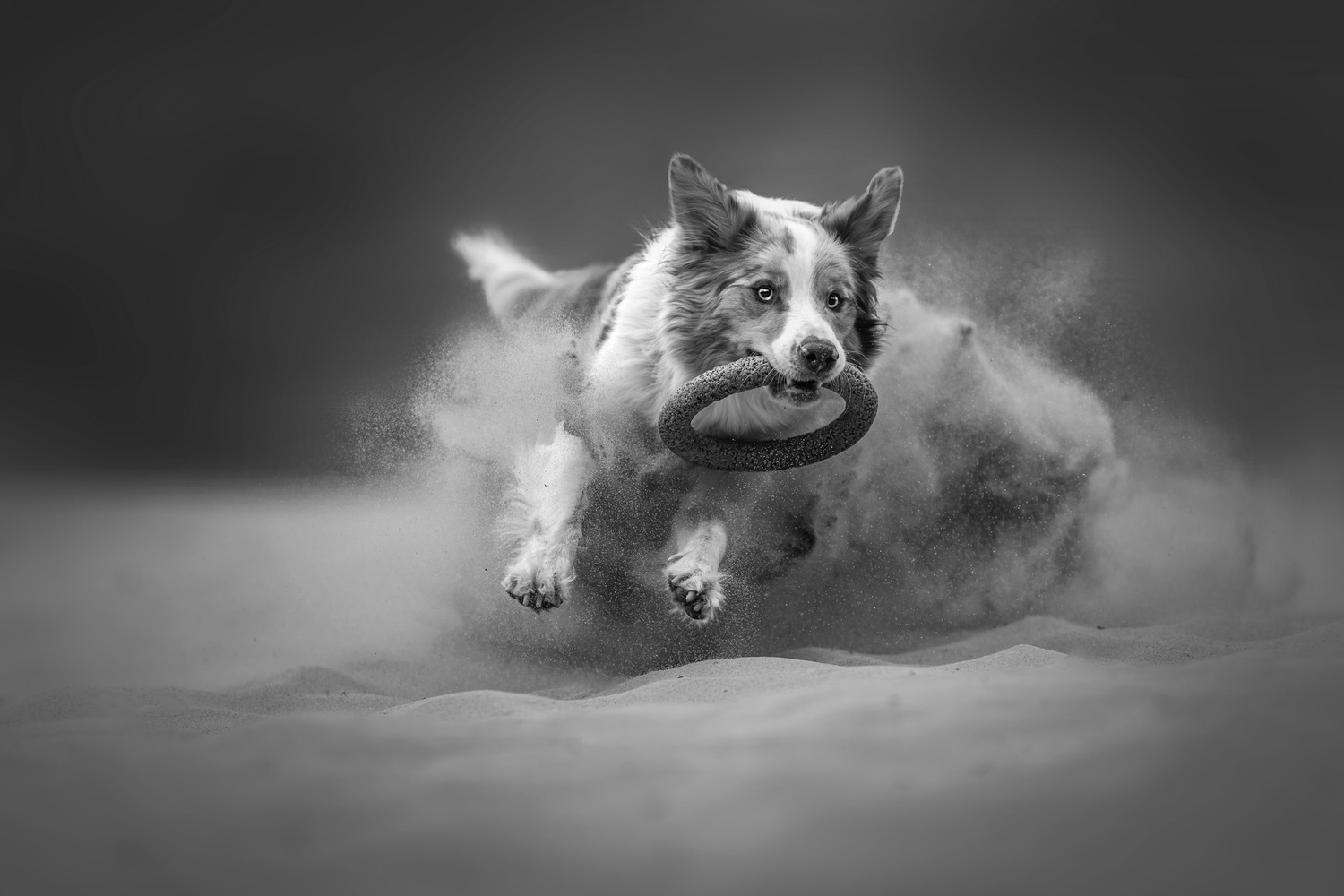 Wild heart in the sand