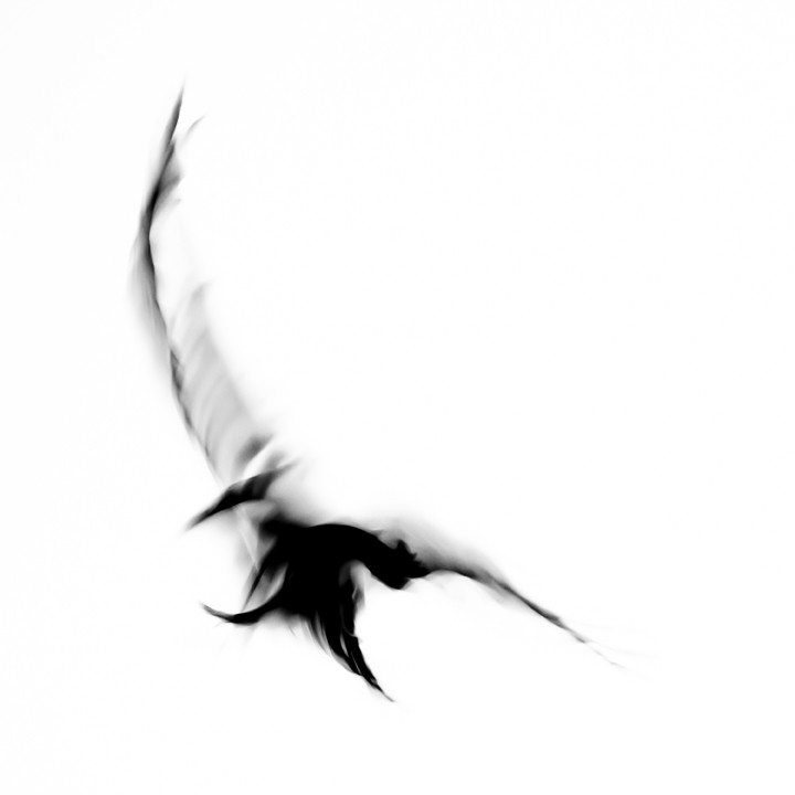Fleeting Gestures
