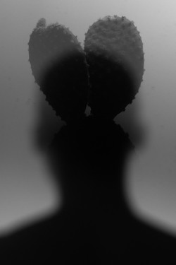 William Joe Josephs Radford