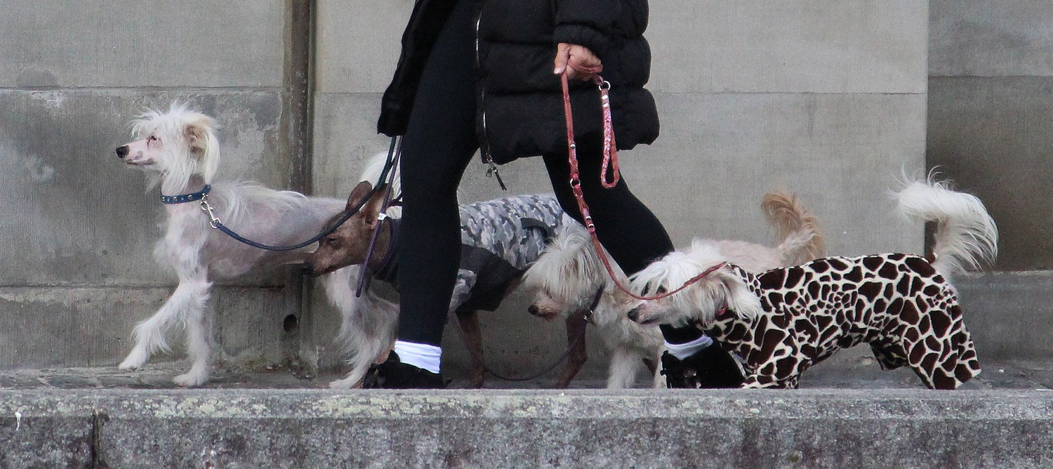 Her Majesty with Entourage