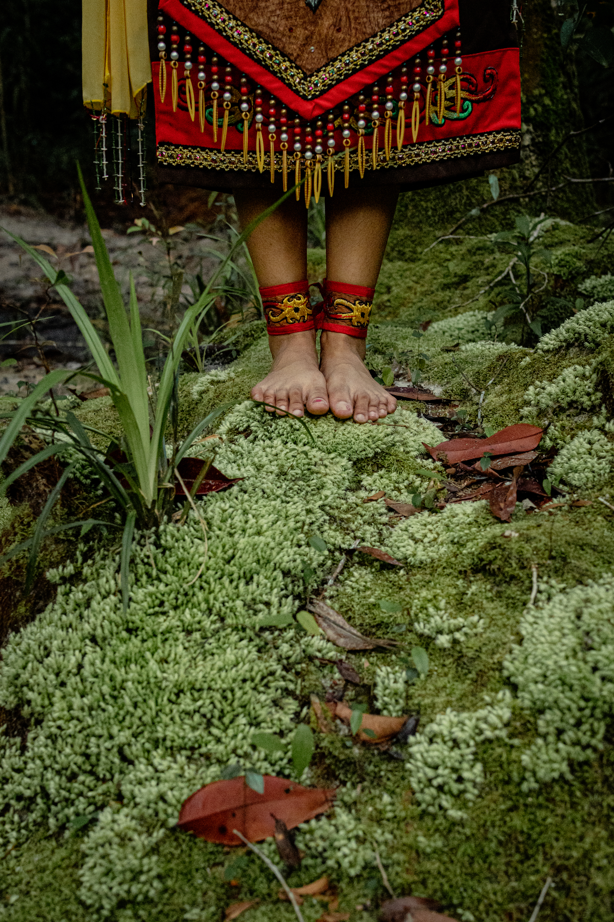 Dayak Connection with Nature