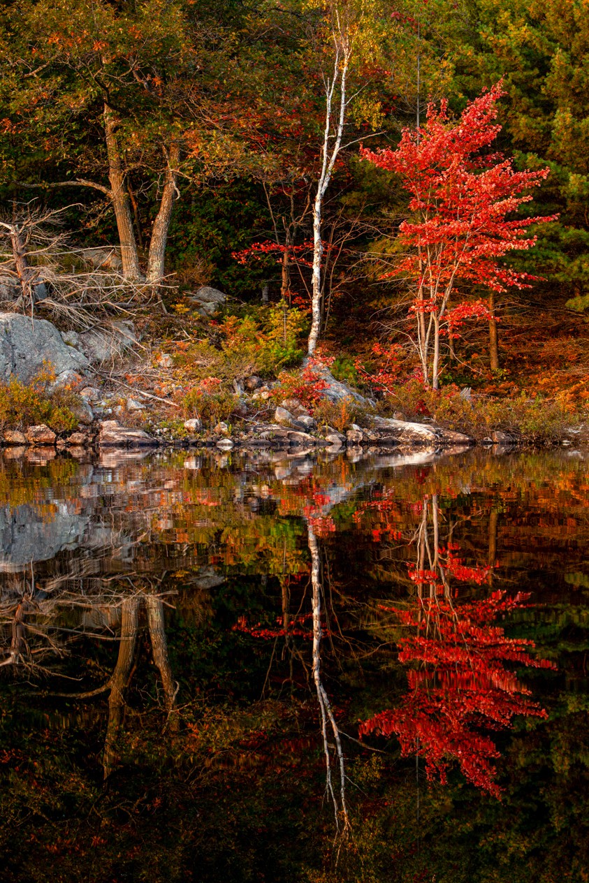 Golden Hour at Nine Mile Lake