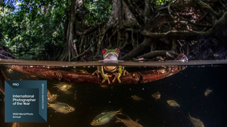 Pepe Manzanilla - 2024 World Photo Annual |  International Photographer of the Year | Professional