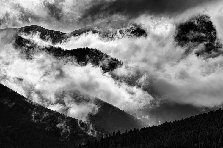 Emotions Through the Mist