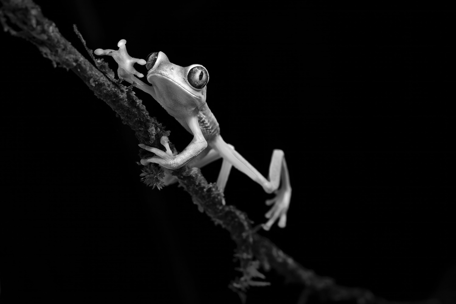 I Only Have Eyes For You