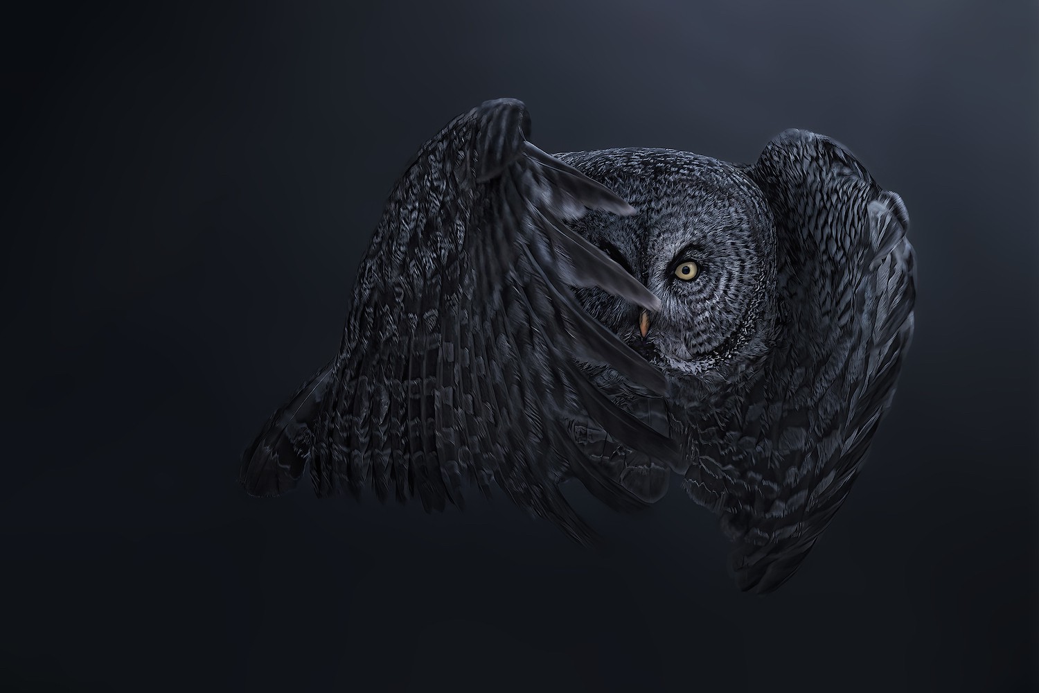 I'll See You Through the Darkness