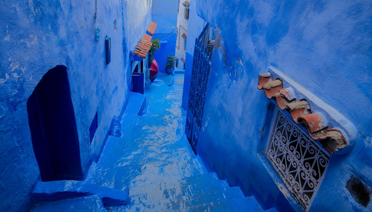 COMING OUT OF THE RAIN