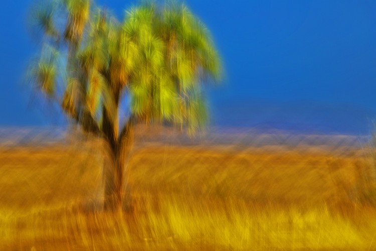 Kinetic Ambiguity Project’s Vistas