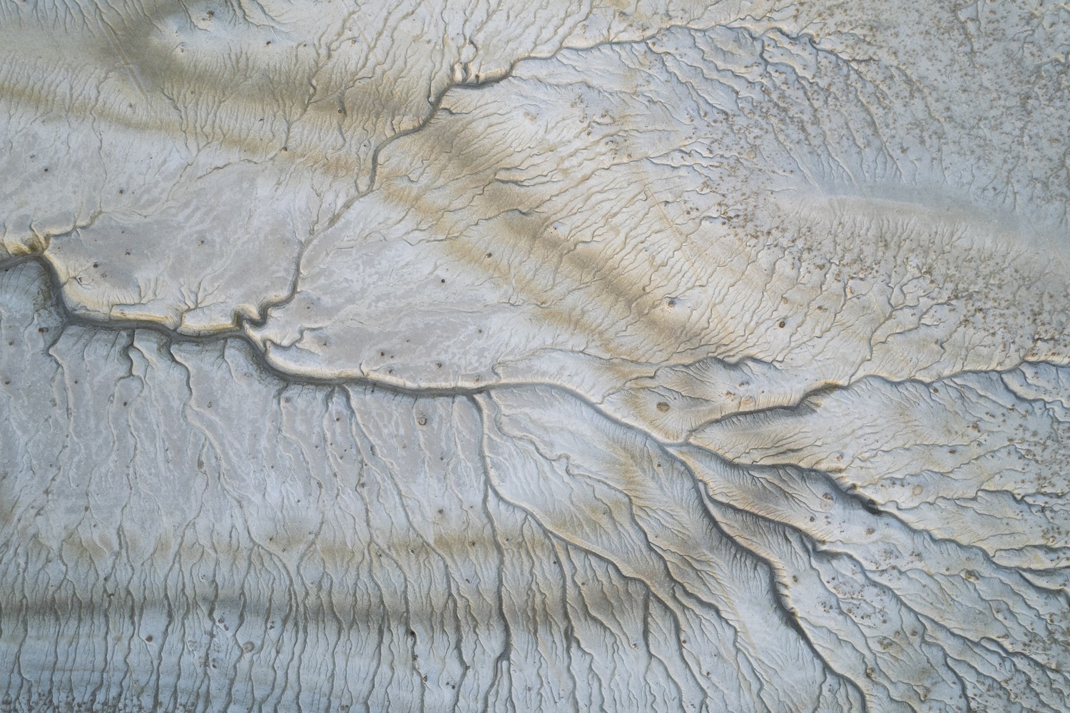 The roots of the Earth