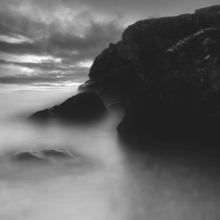 Nature at the Edge of Shadow