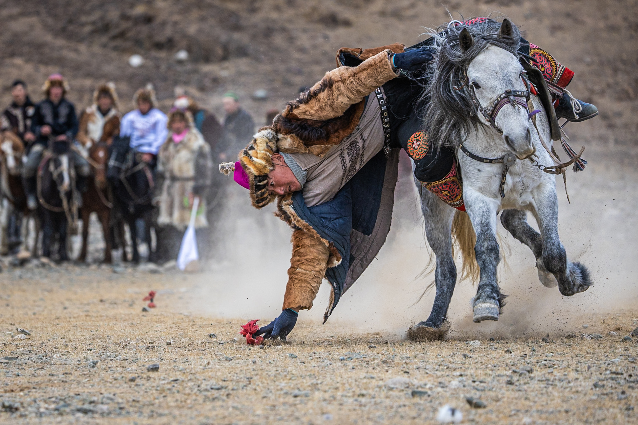 Perfect balance at full gallop