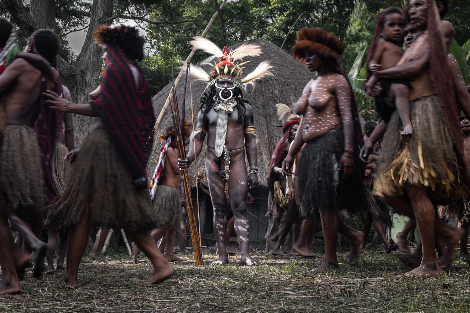 Dani Tribe Revolves Around Chief
