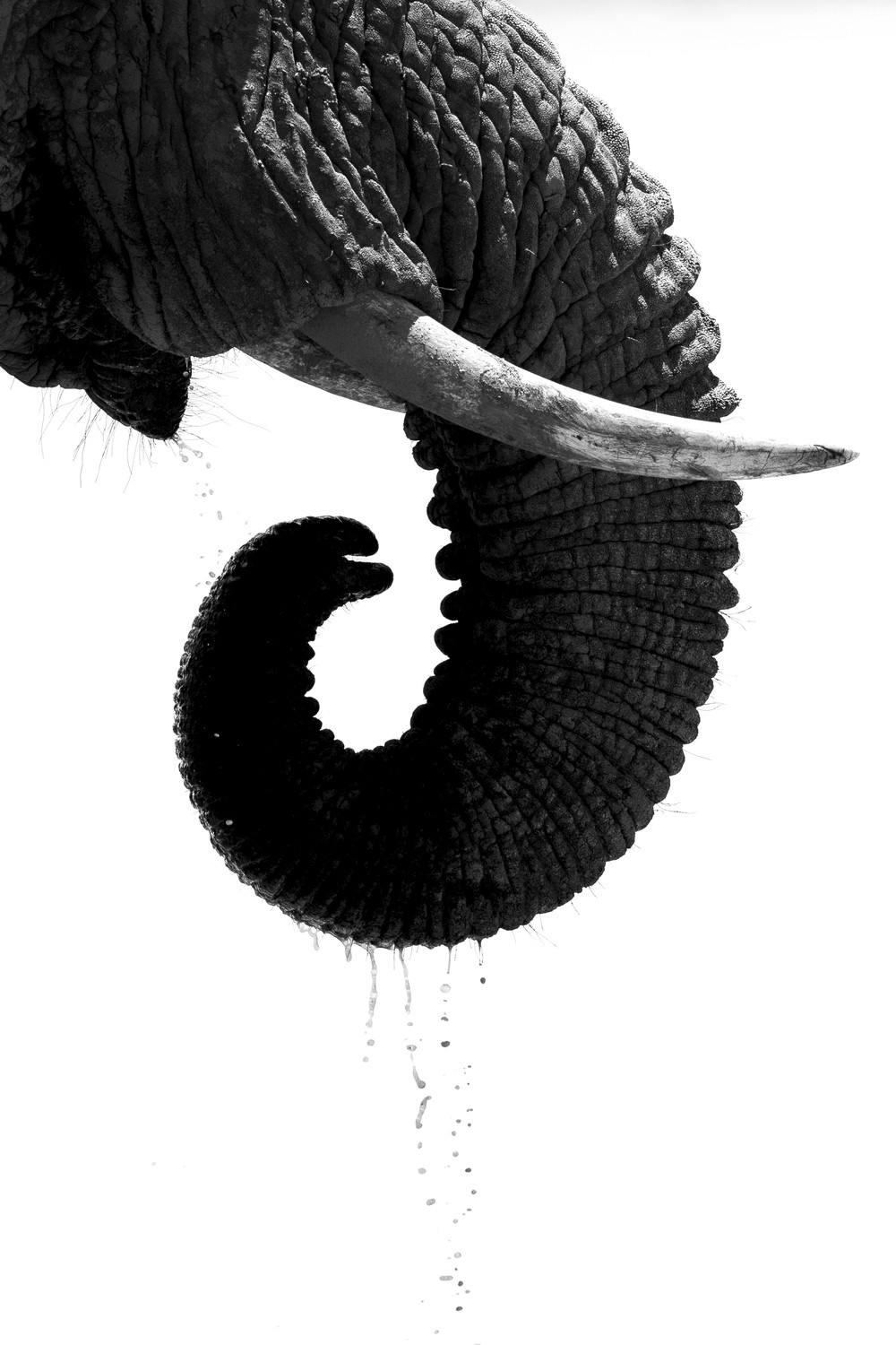 “Thirst Quenched”