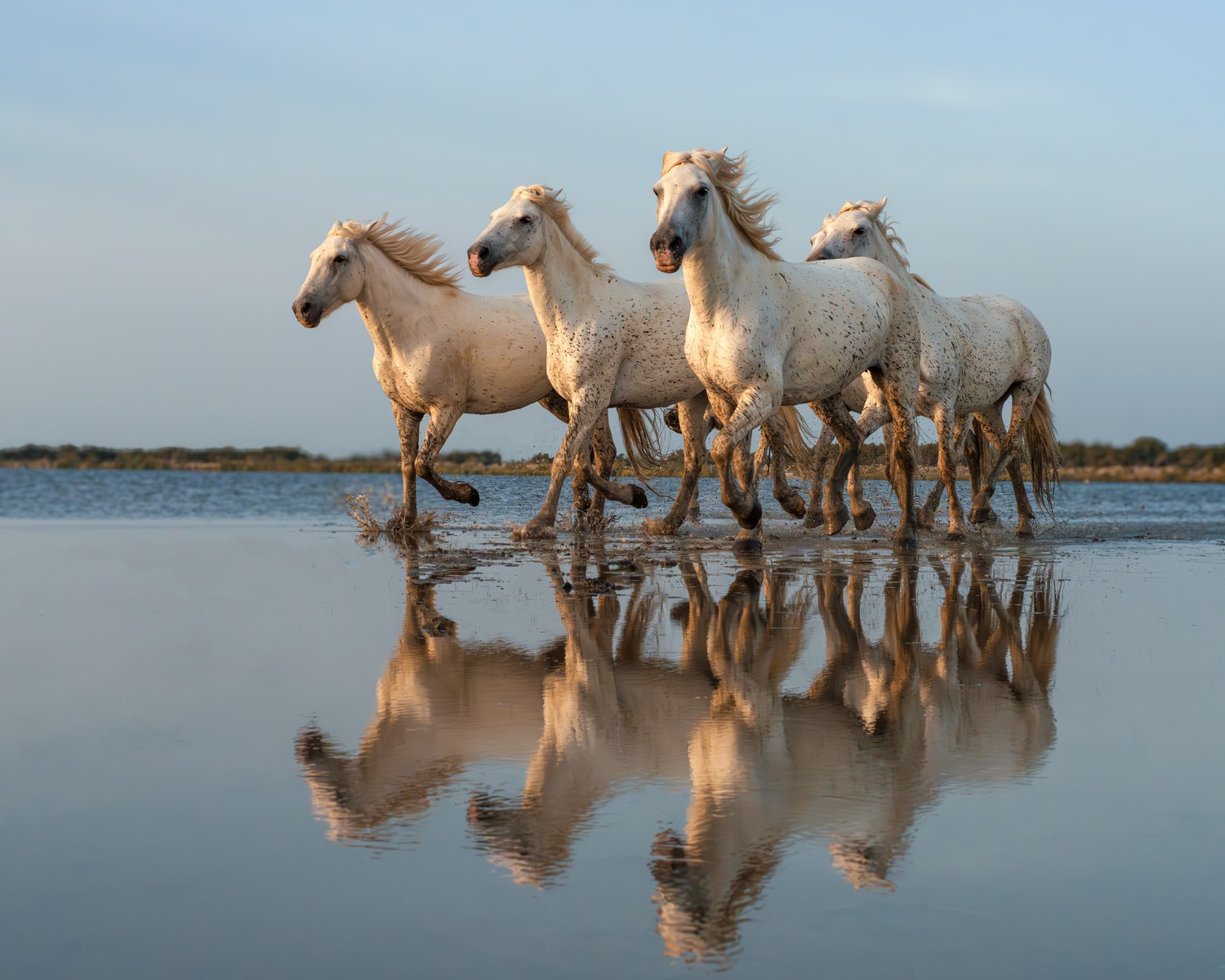 Sunrise Run on the Beach