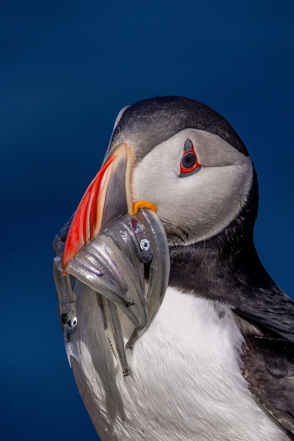 Caught in the Moment