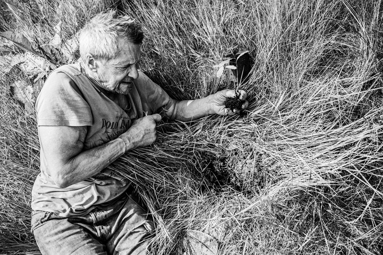 The Man Who Planted trees