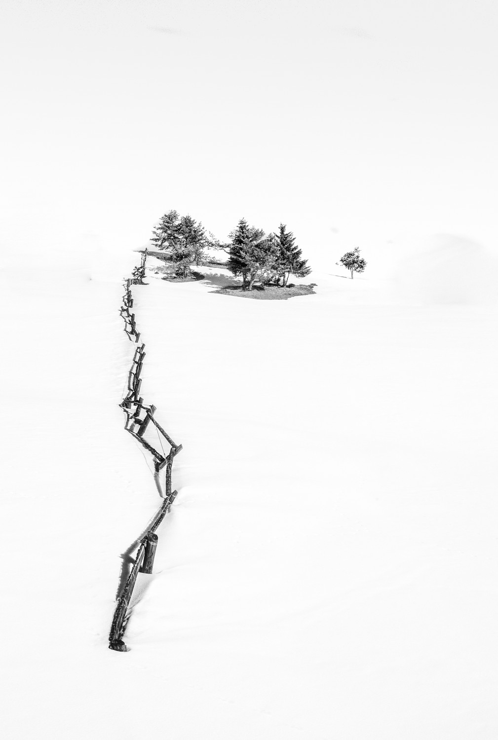 Uphill along the fence