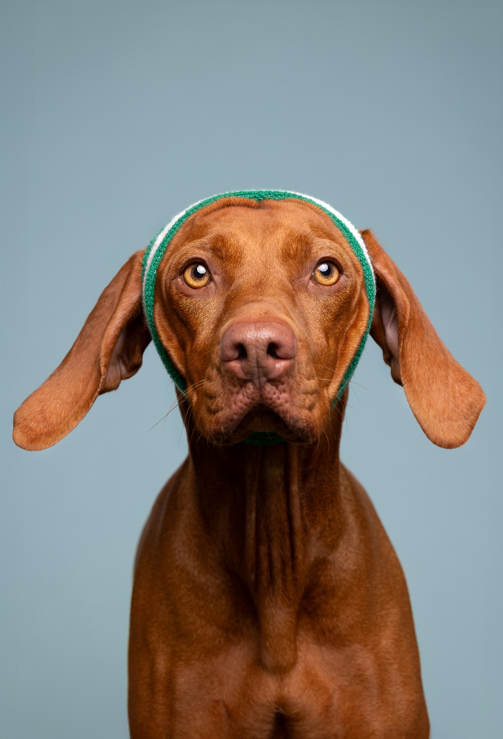 The last shot of the shooting