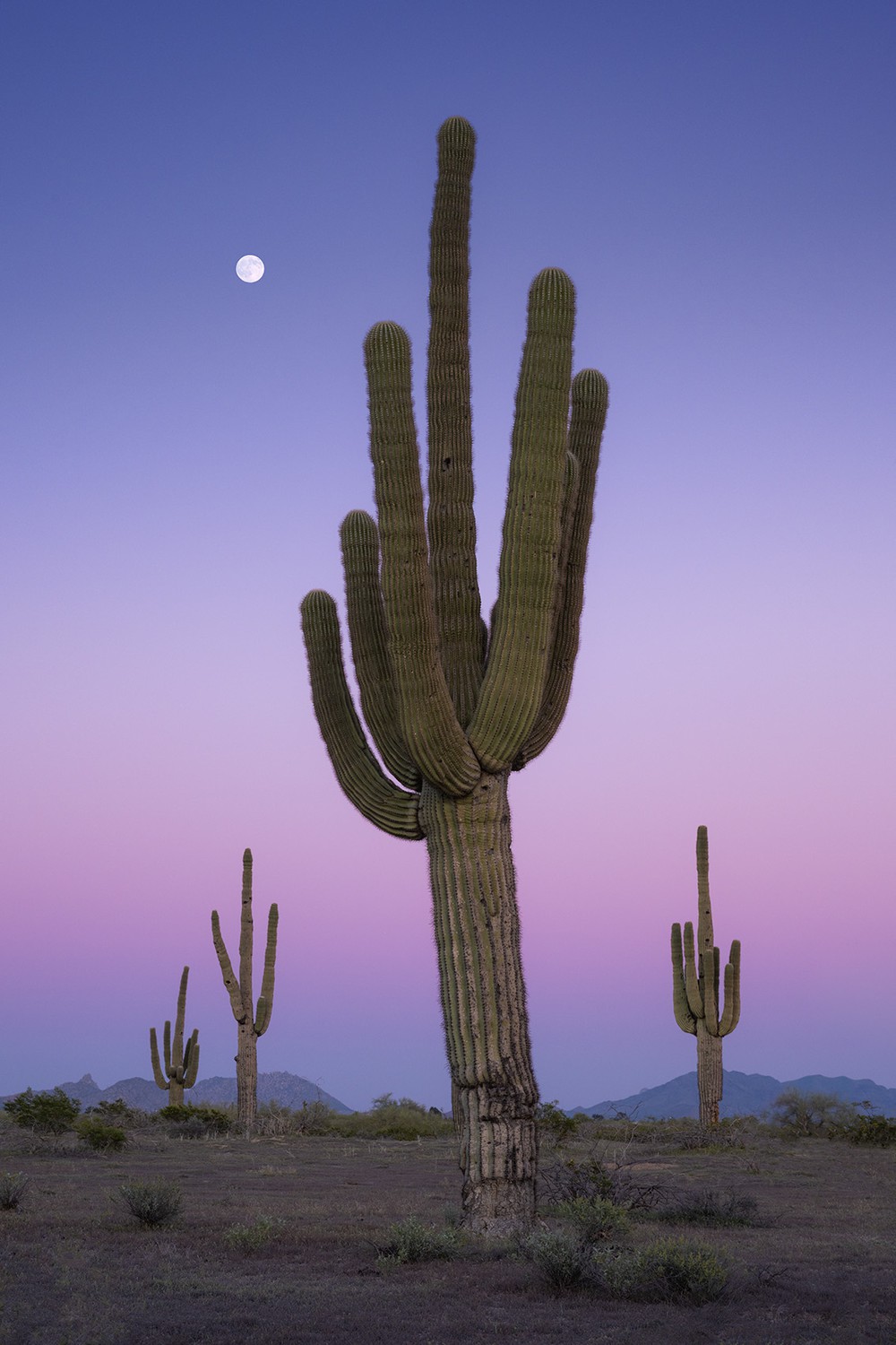 An Arizona Moonrise
