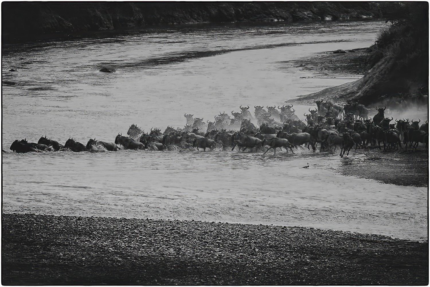 Rush of Life and Death