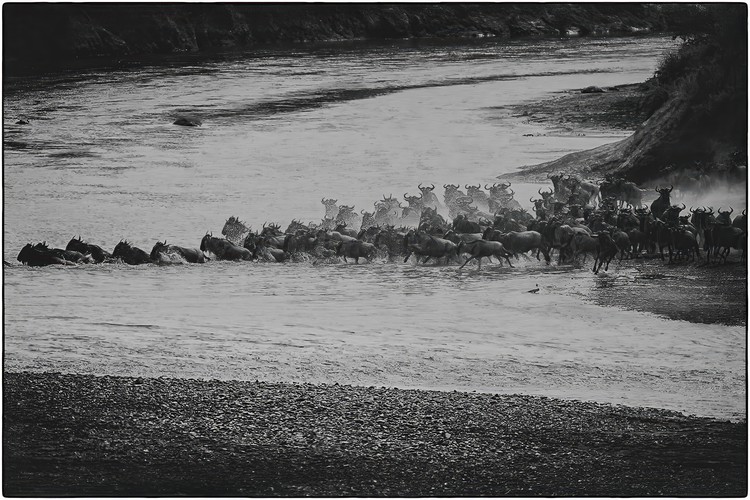 Rush of Life and Death